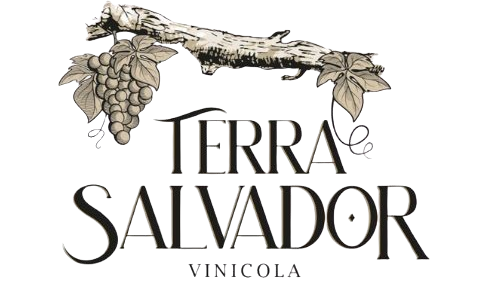 Vin&iacute;cola Tierra Salvador